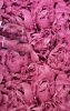 Peony - Rózsaszín bazsarózsás tapéta