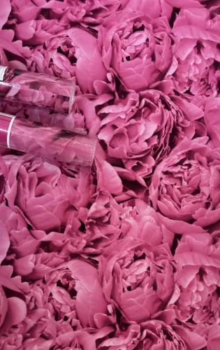 Peony - Rózsaszín bazsarózsás tapéta