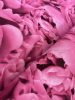 Peony - Rózsaszín bazsarózsás tapéta